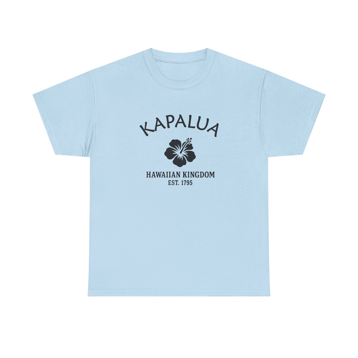 Kapalua Hawaii Vintage Retro Unisex Heavy Cotton Tee - Black Logo