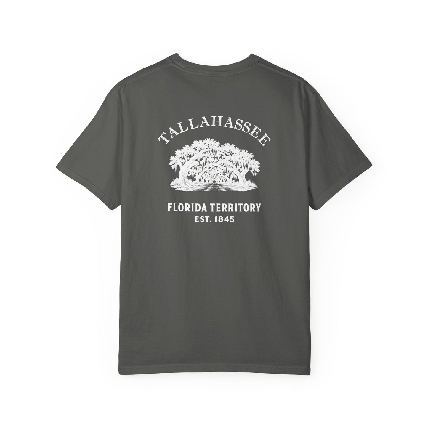 Tallahassee Florida Canopy Road Garment-Dyed Heavyweight Tee