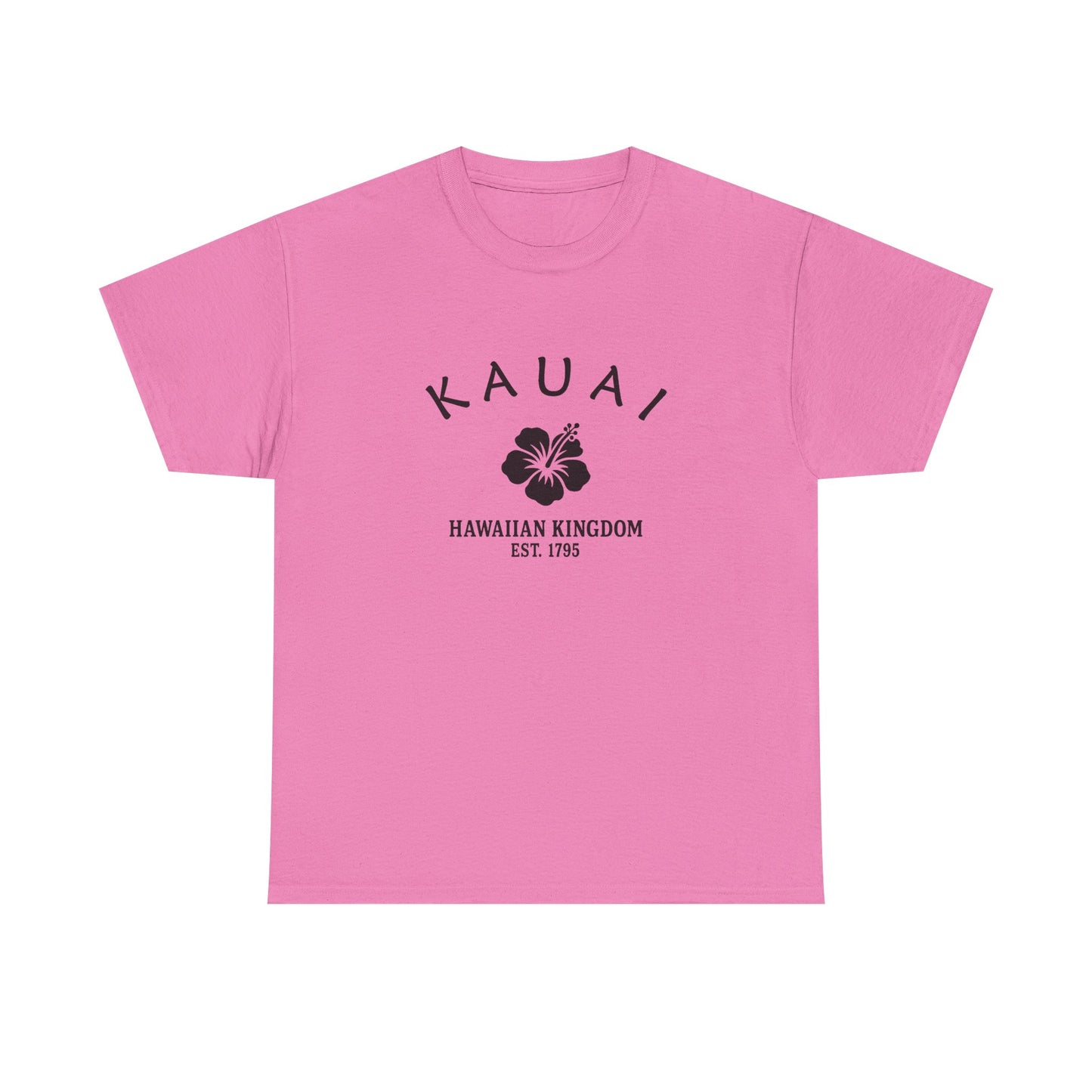 Kauai Hawaii Vintage Retro Unisex Heavy Cotton Tee - Black Logo