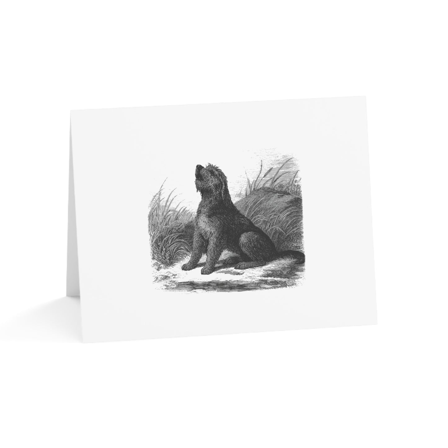 Otterhound Vintage Retro Thank You Card Set - Howling For Fun