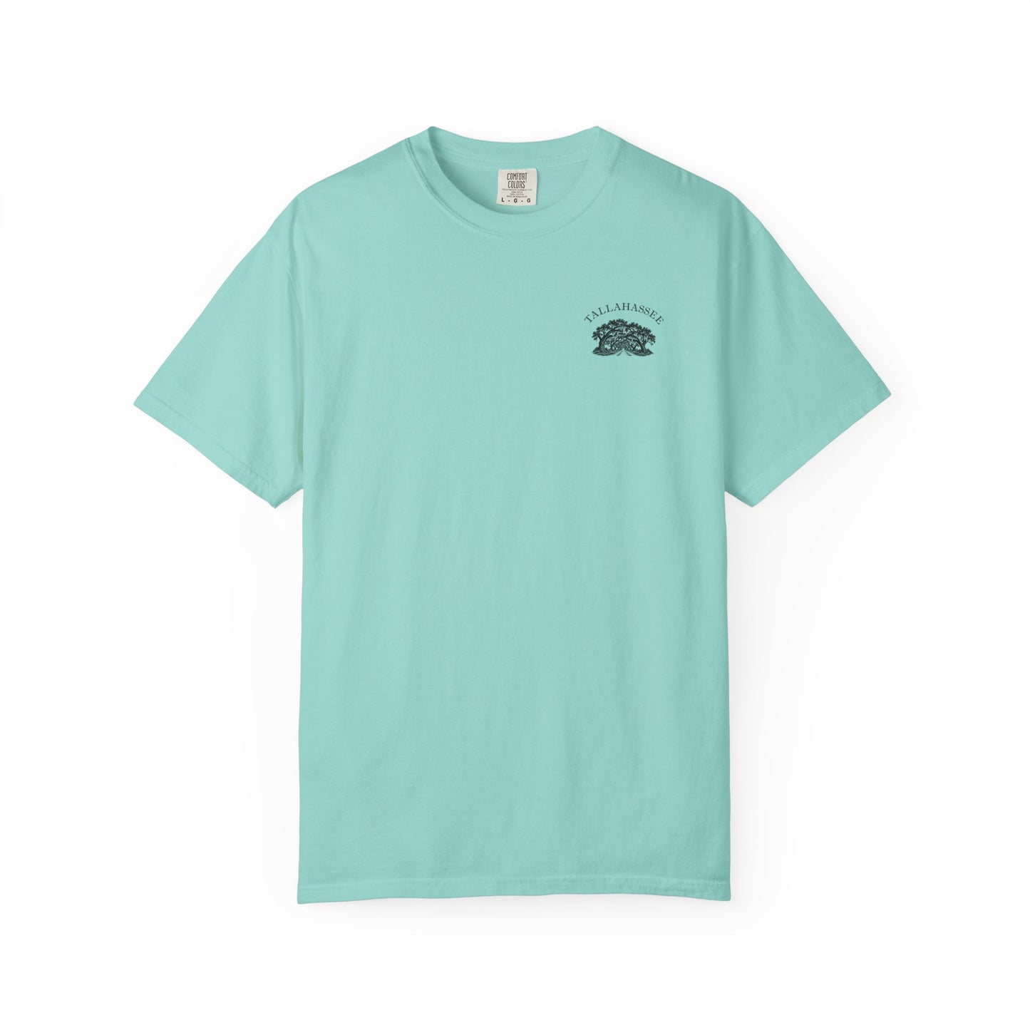 Tallahassee Florida Canopy Road Garment-Dyed Heavyweight Tee