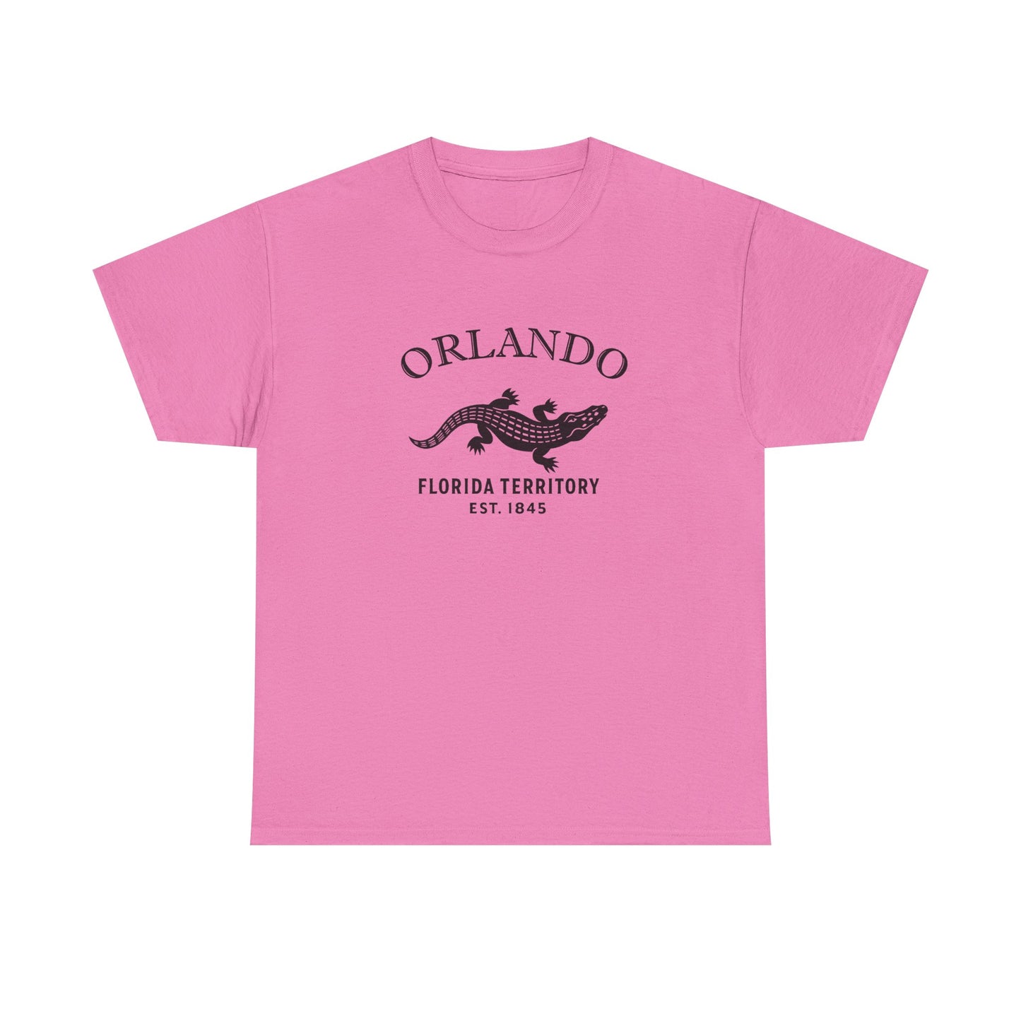 Orlando Florida Vintage Retro Unisex Heavy Cotton Tee - Black Logo