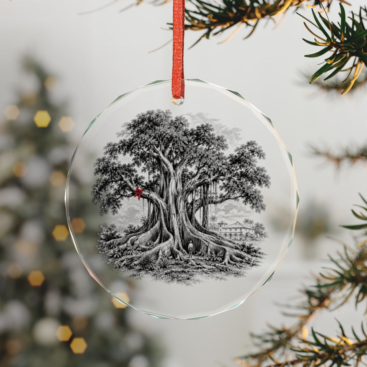 Santa Barbara California Holiday Ornament, Moreton Bay Fig, Crystal Glass Ornament Hanging on a Christmas Tree