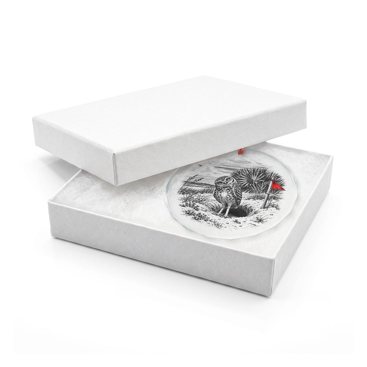 Marco Island Florida Holiday Ornament, Burrowing Owl, Crystal Glass Ornament in White Gift Box